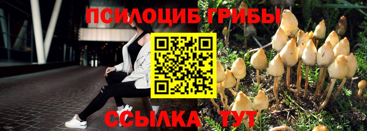 Галлюциногенные грибы Psilocybine cubensis  наркота  Шали  Псилоцибиновые грибы мухоморы  Вход с VPN 