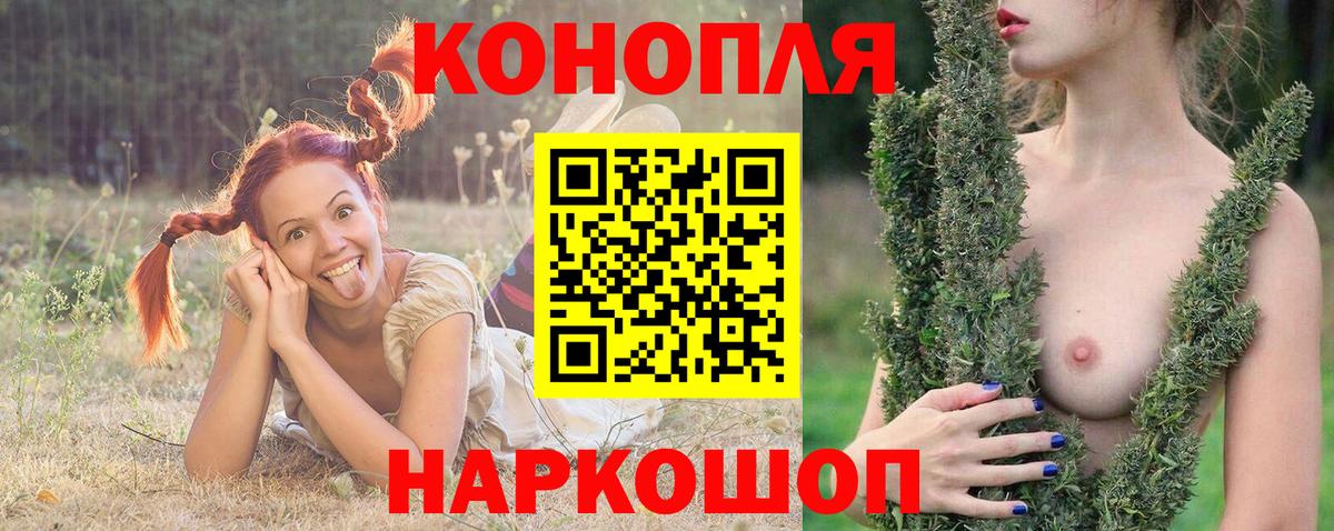МАРИХУАНА SATIVA & INDICA  Канабис семена  Вход с VPN  Конопля семена  Шали 
